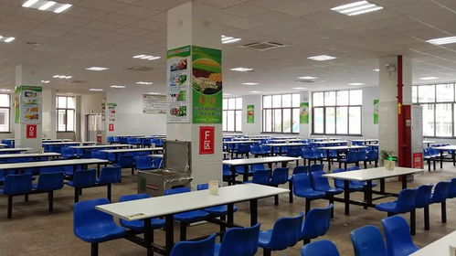 速看！丽水130家学校、幼儿园获评餐饮服务食品安全A级单位