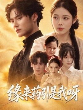 缘来药引是我呀海报