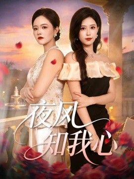 夜风知我心海报
